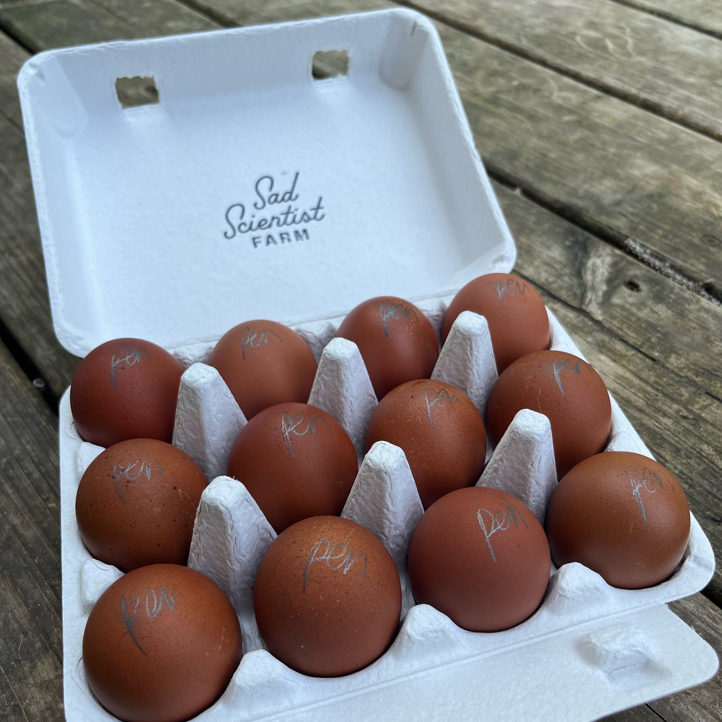 Crele Penedesenca Hatching Eggs | One Dozen