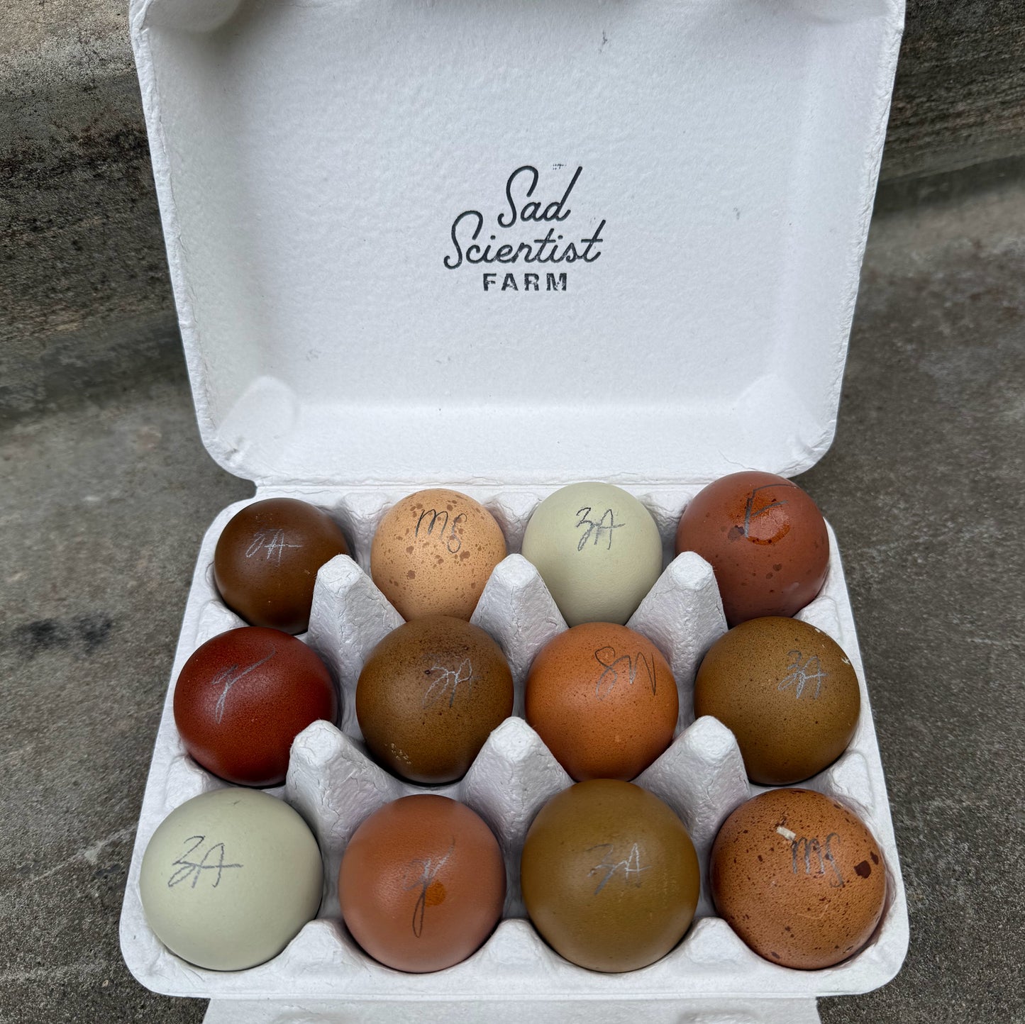 Rainbow Mix Hatching Eggs | One Dozen