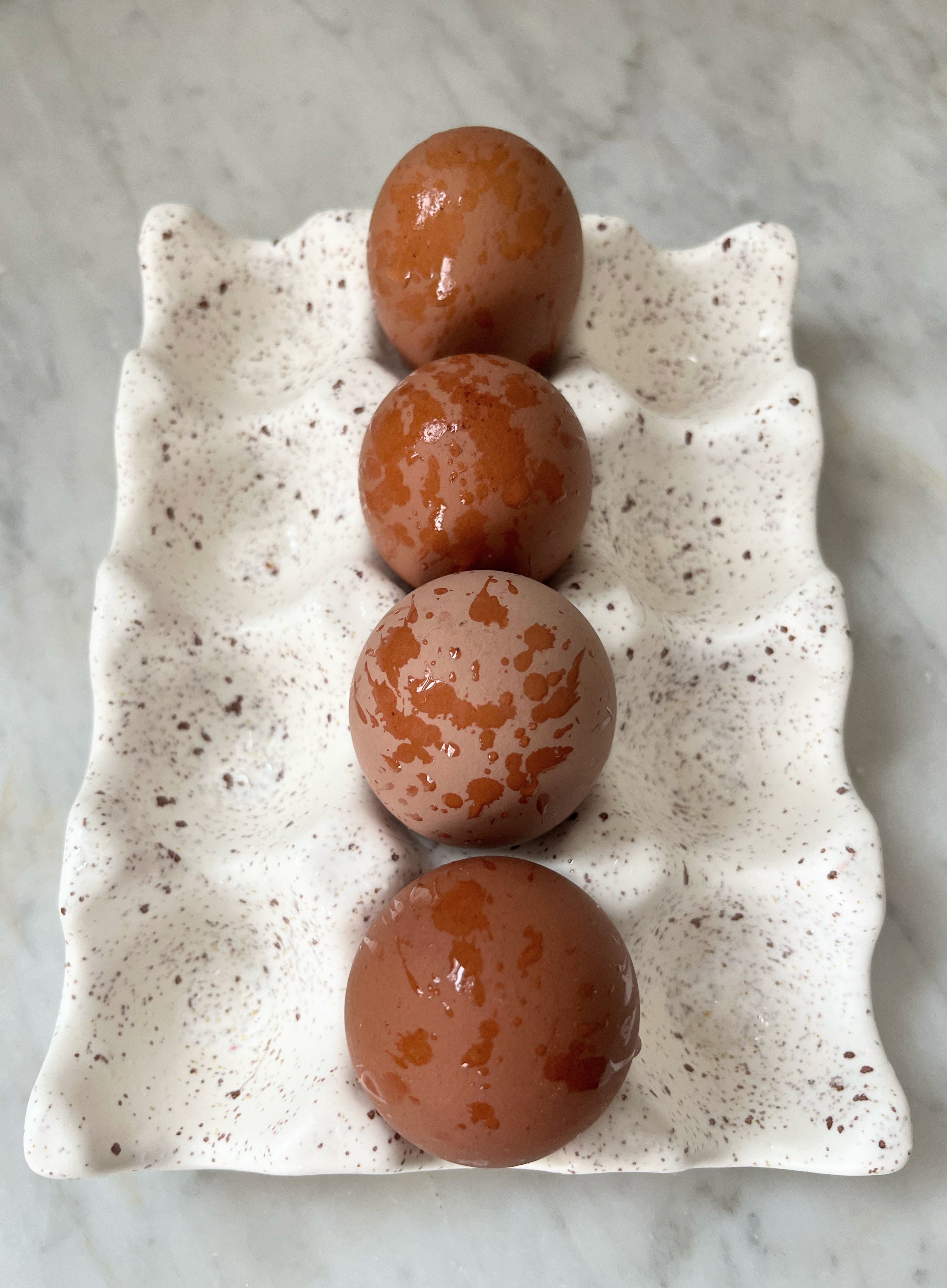 Dark Brown Chocolate Egger Pullet Sad Scientist Farm Minnesota