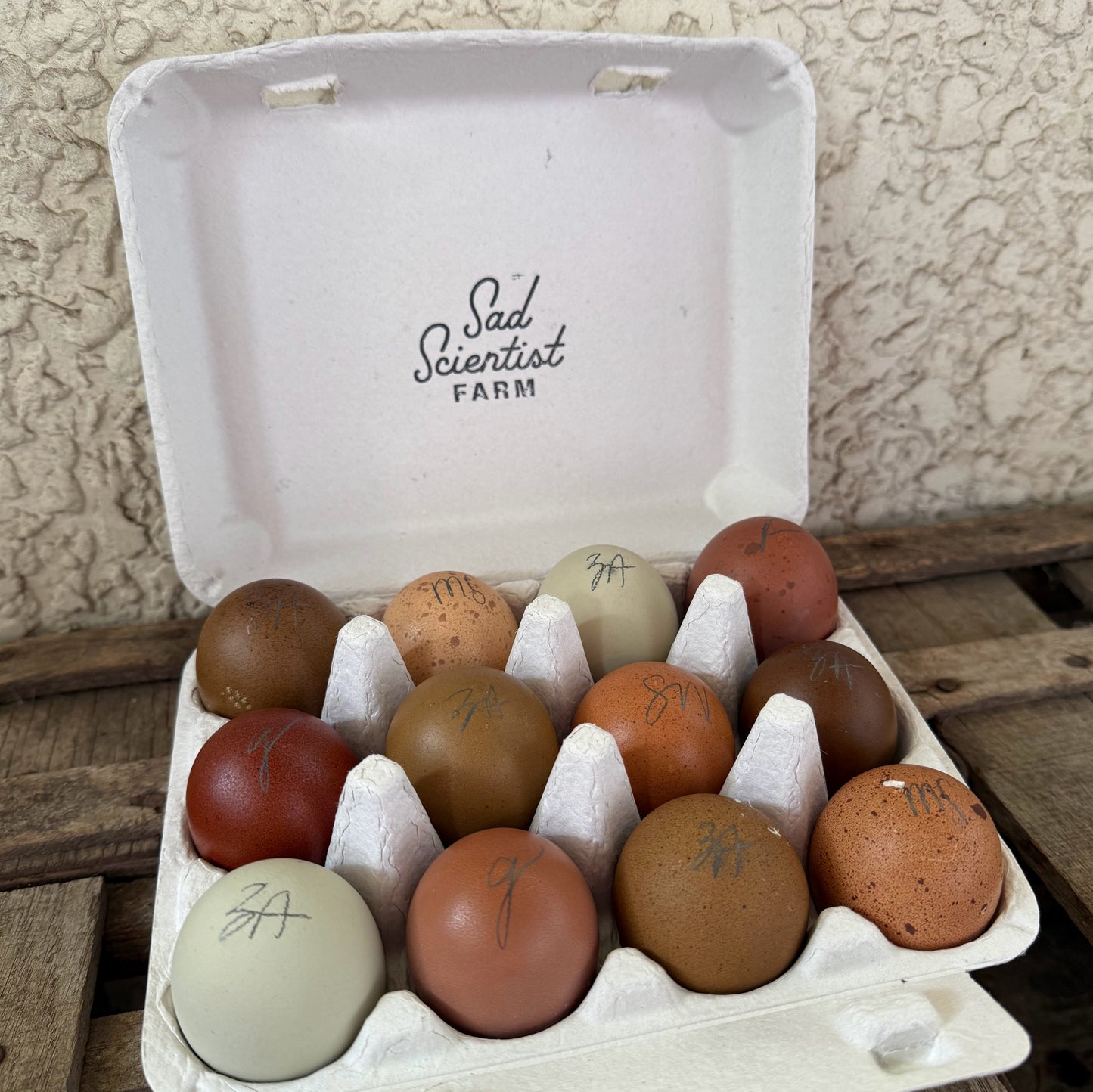 Rainbow Mix Hatching Eggs | One Dozen