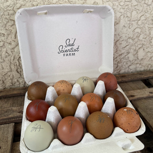 Rainbow Mix Hatching Eggs | One Dozen